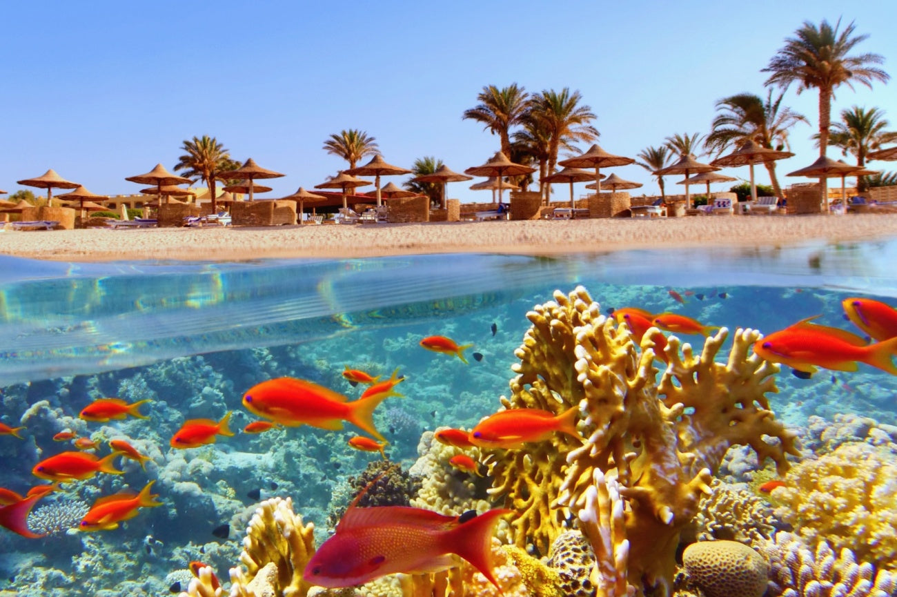 Egypt Grand Discovery Tour & Red Sea Resort | 18 Days