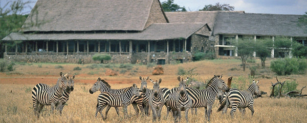 Kilaguni Serena Safari Lodge 4.5 ★ | Tsavo West