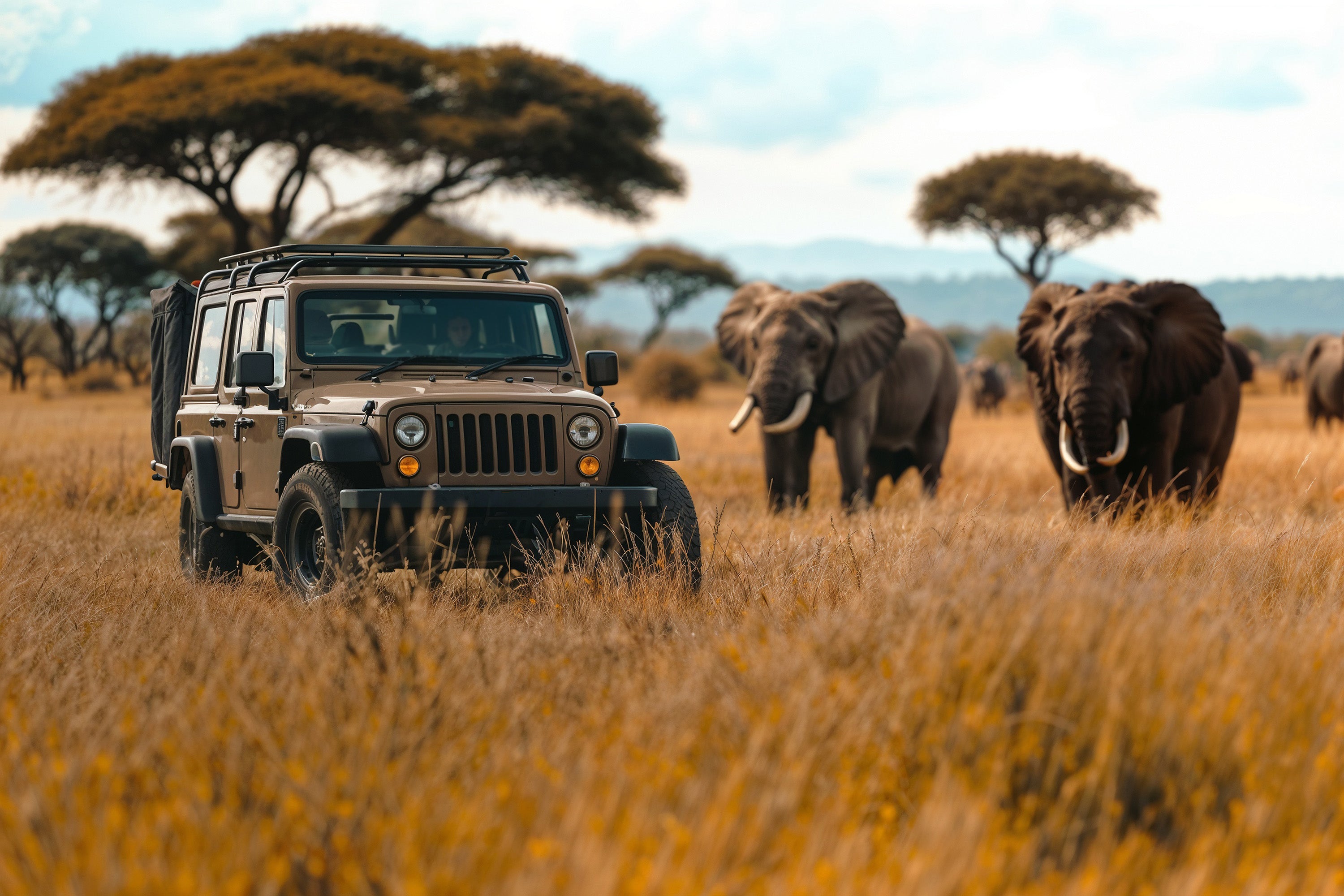 Kenya Luxury Guided Safari | 11 Days