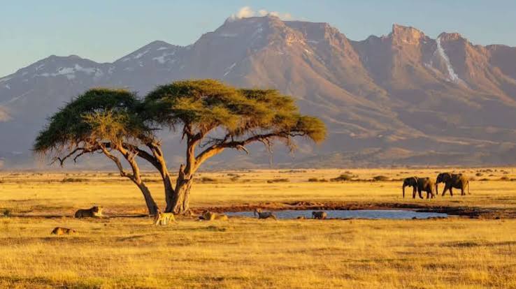 Kenya Luxury Guided Safari & Diani Beach |  16 Days