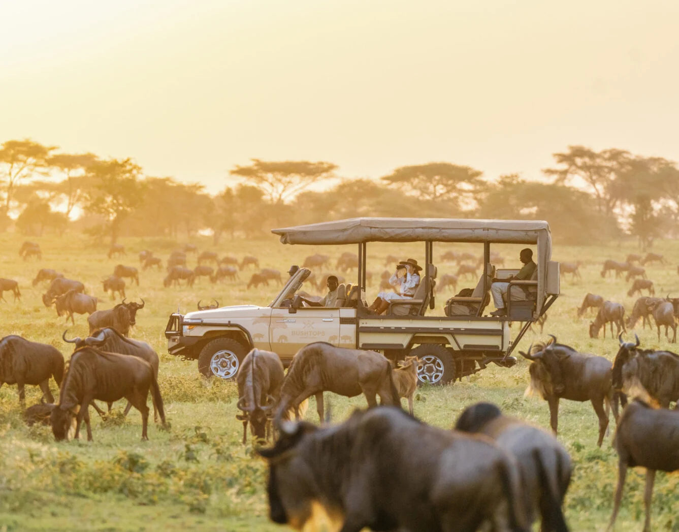Tanzania Luxury Guided Safari | 9 Days